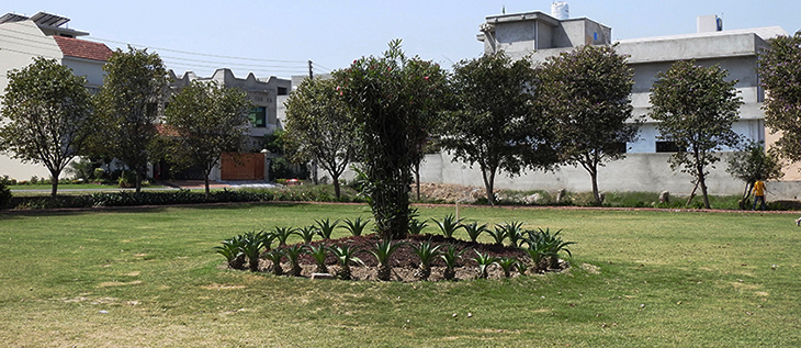 Tariq Gardens