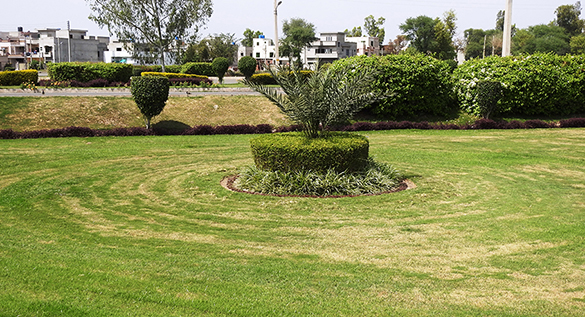 Tariq Gardens