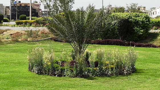 Tariq Gardens