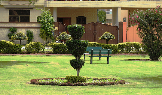 Tariq Gardens