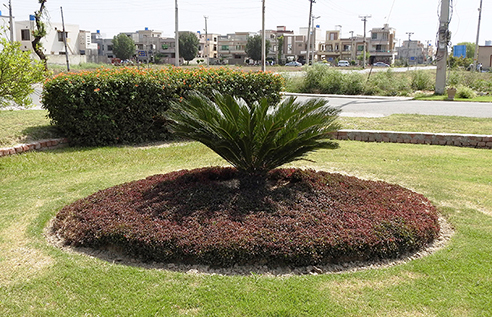 Tariq Gardens